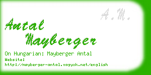 antal mayberger business card